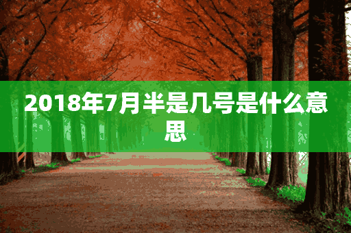 2018年7月半是几号是什么意思